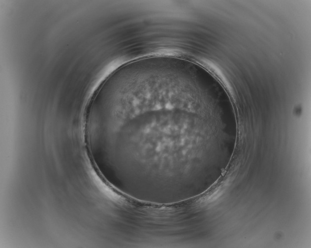 X0000092050851200709191119