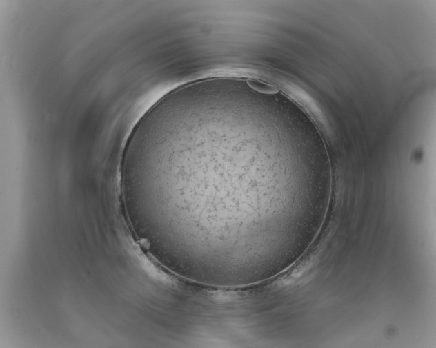 X0000092050852200709191119