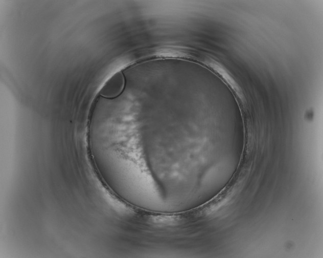 X0000092050853200709191119