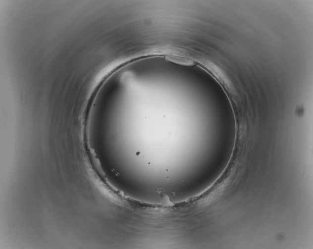 X0000092050854200709191119