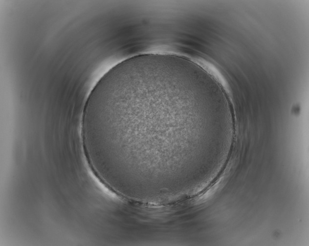 X0000092050855200709191119