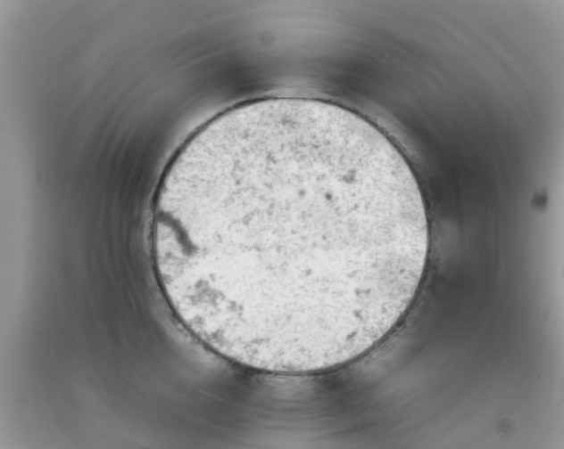 X0000092050856200709191119