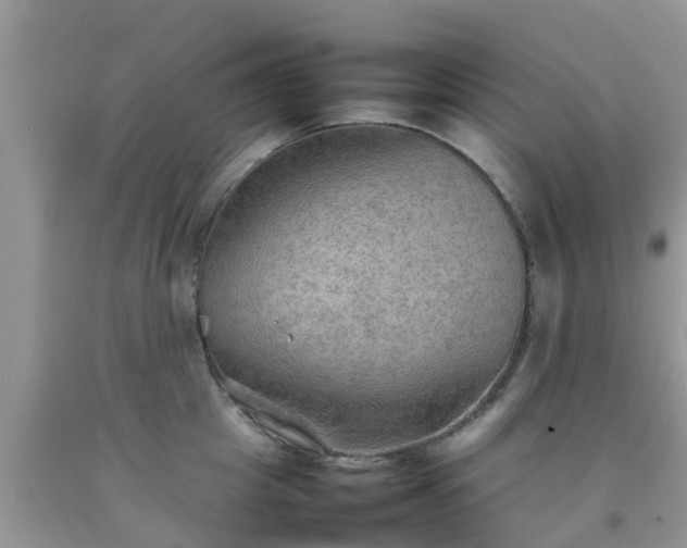 X0000092050857200709191119