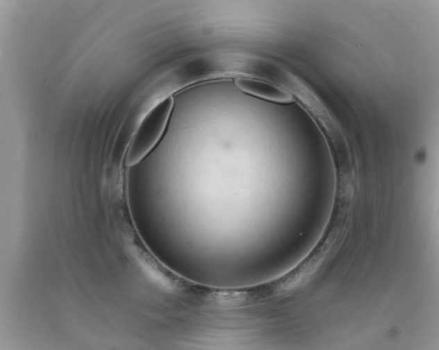 X0000092050858200709191119