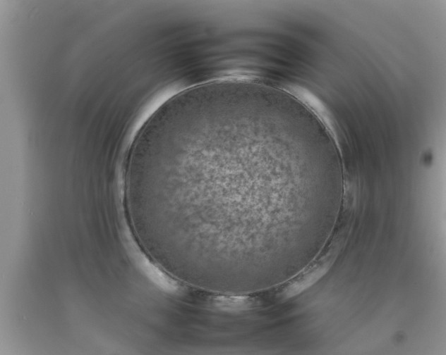 X0000092050859200709191119