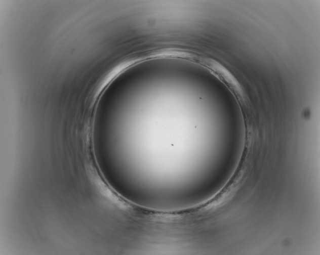 X0000092050860200709191119