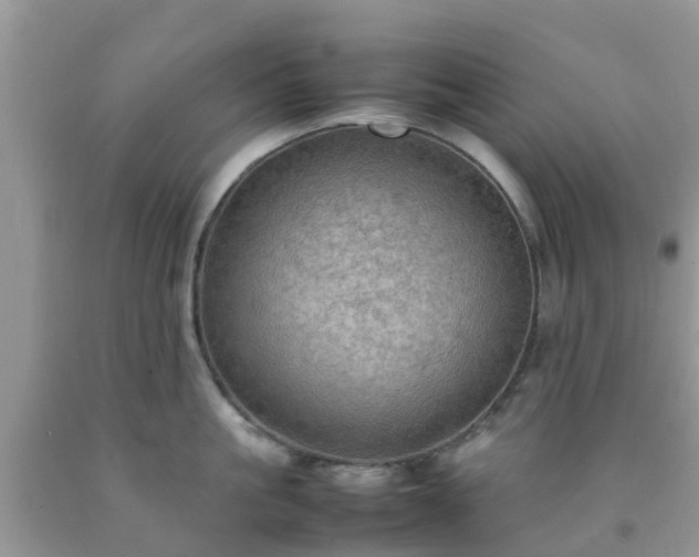 X0000092050861200709191119