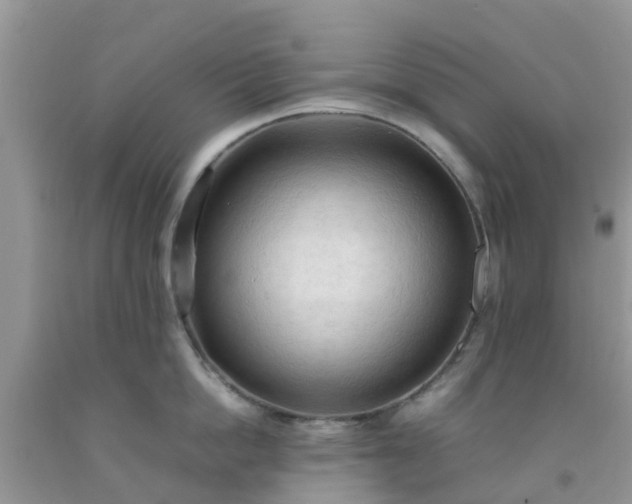 X0000092050862200709191119