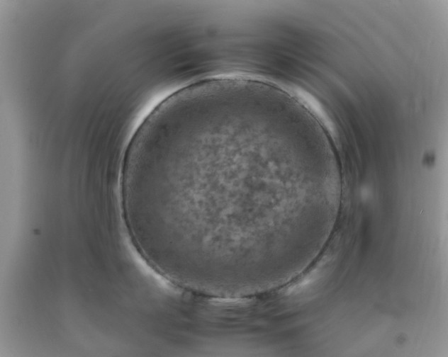 X0000092050863200709191119