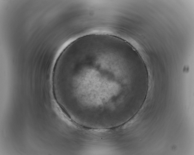 X0000092050864200709191119