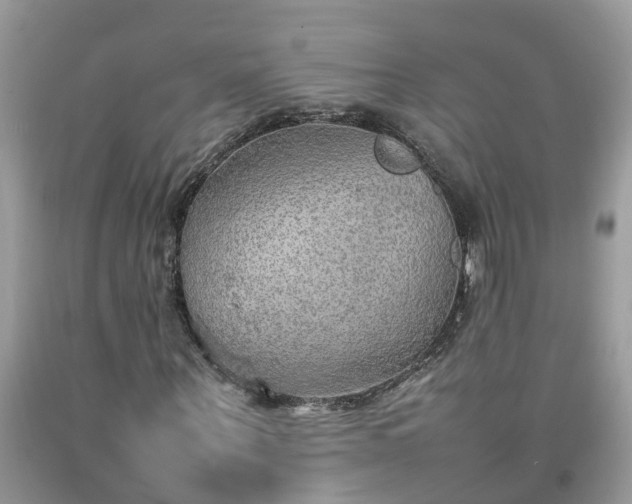 X0000092050867200709191119