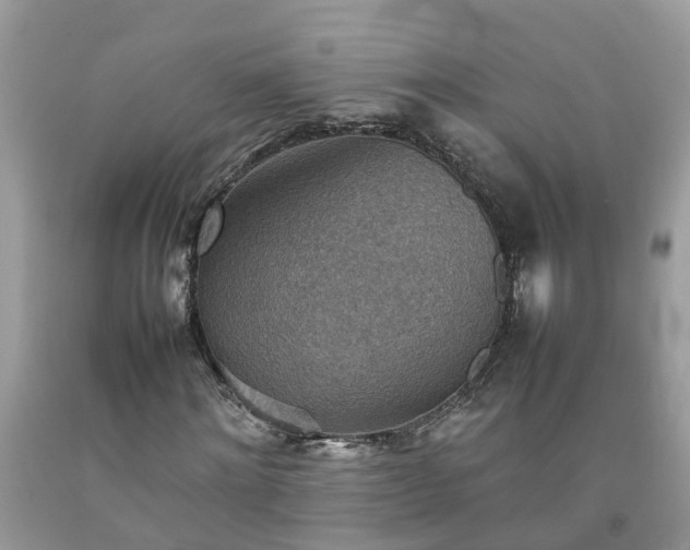 X0000092050868200709191119