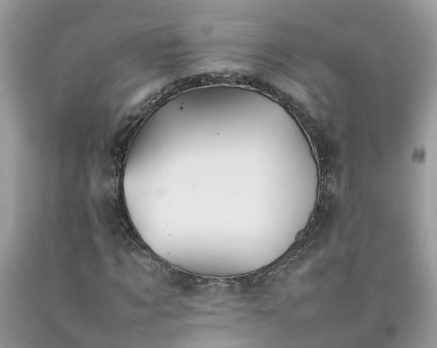 X0000092050869200709191119