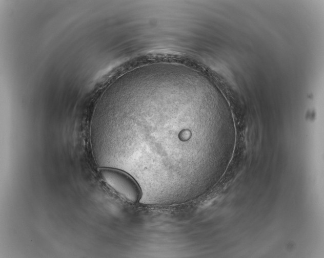 X0000092050870200709191119