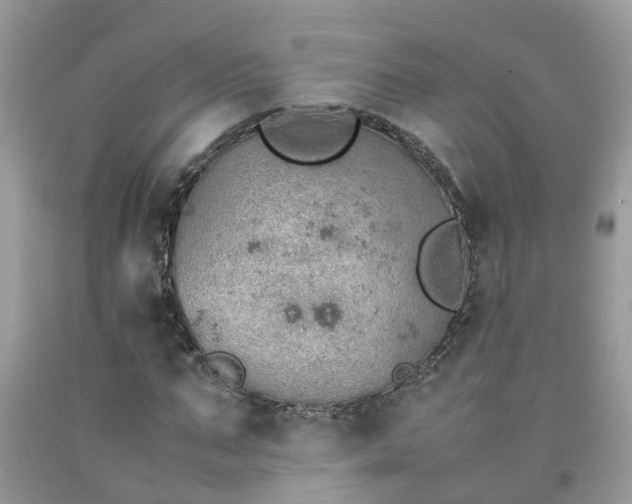 X0000092050871200709191119