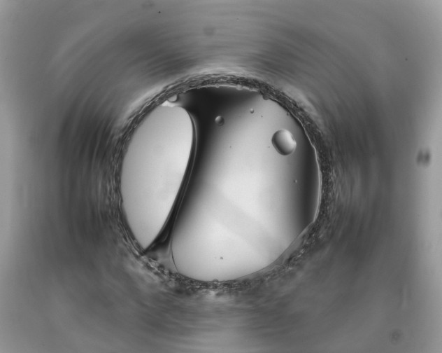 X0000092050872200709191119