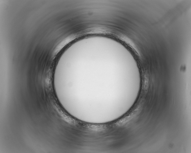 X0000092050874200709191119