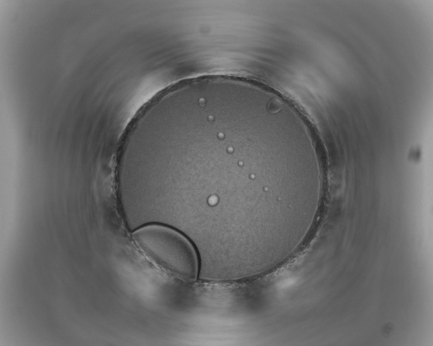 X0000092050875200709191119