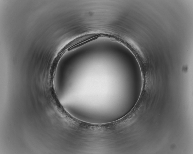 X0000092050876200709191119