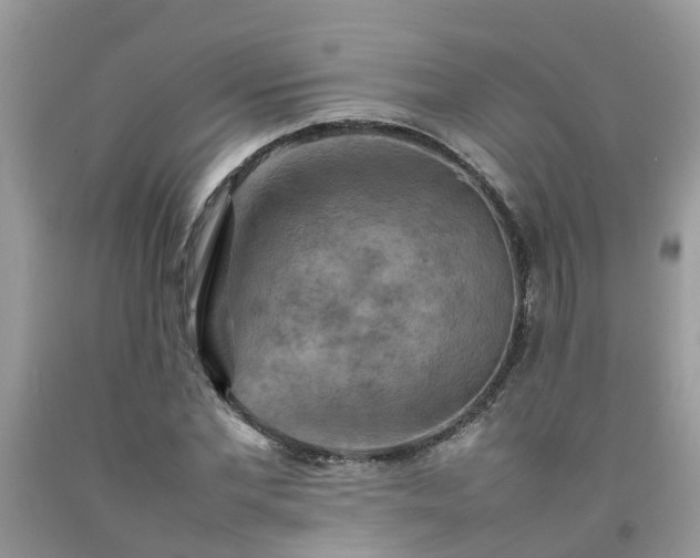 X0000092050877200709191119