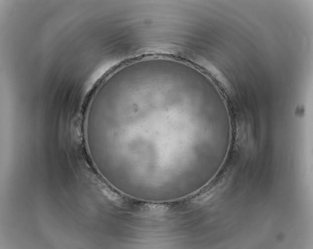 X0000092050878200709191119