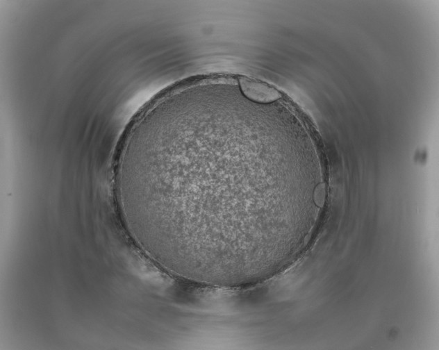 X0000092050879200709191119