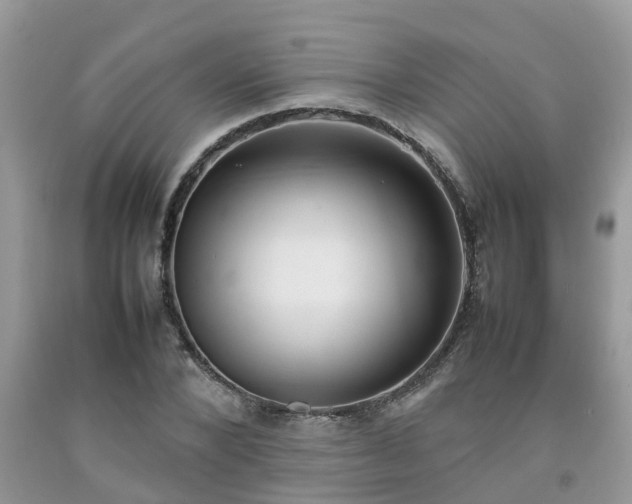 X0000092050880200709191119