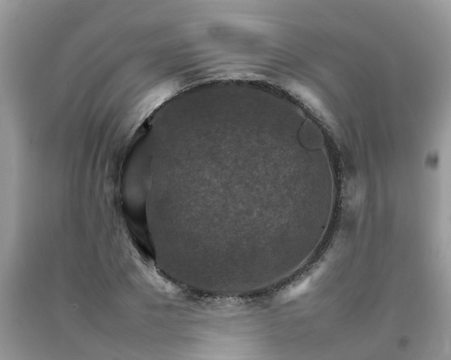 X0000092050881200709191119