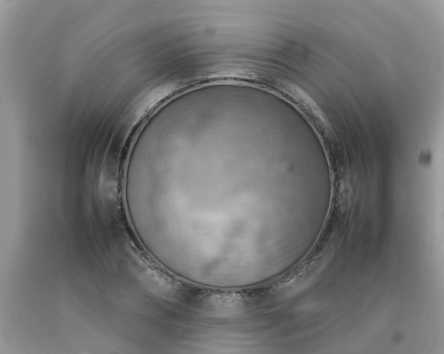 X0000092050882200709191119