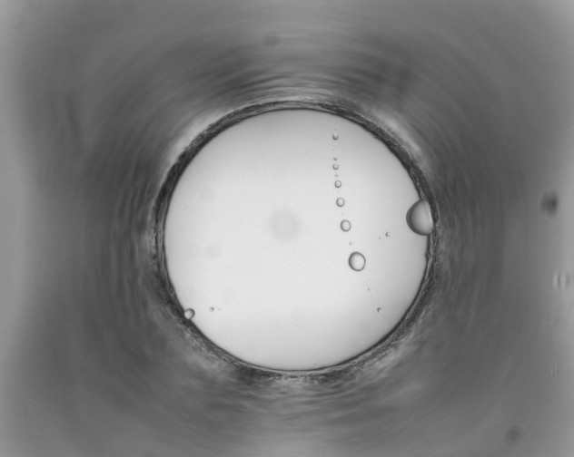 X0000092050883200709191118