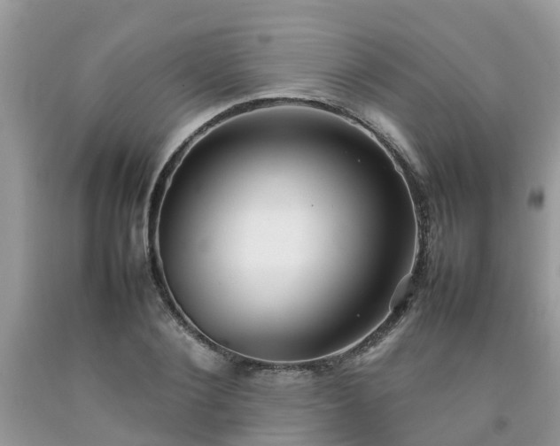 X0000092050884200709191118