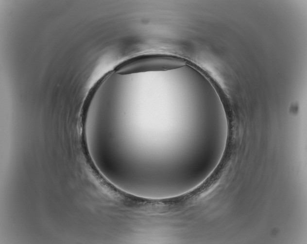 X0000092050885200709191118