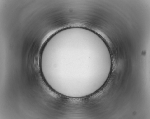 X0000092050886200709191118