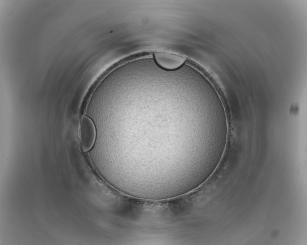 X0000092050887200709191118