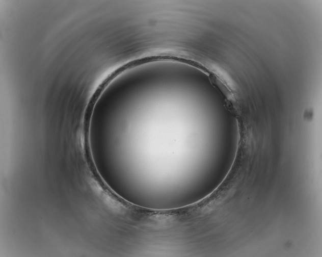 X0000092050888200709191118