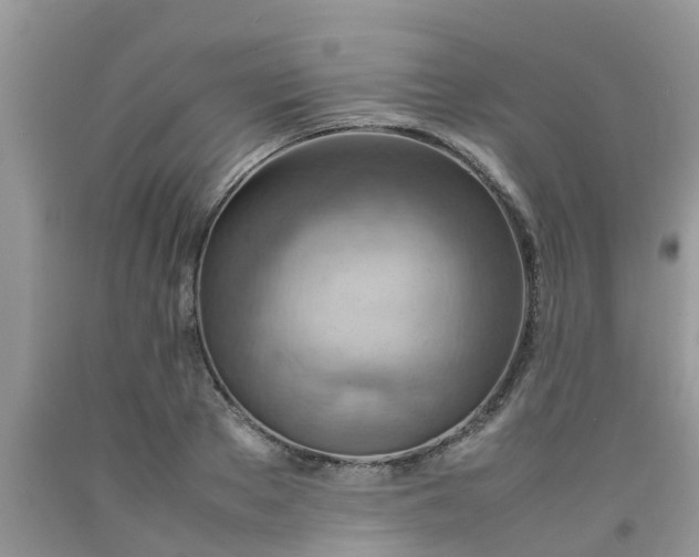 X0000092050889200709191118