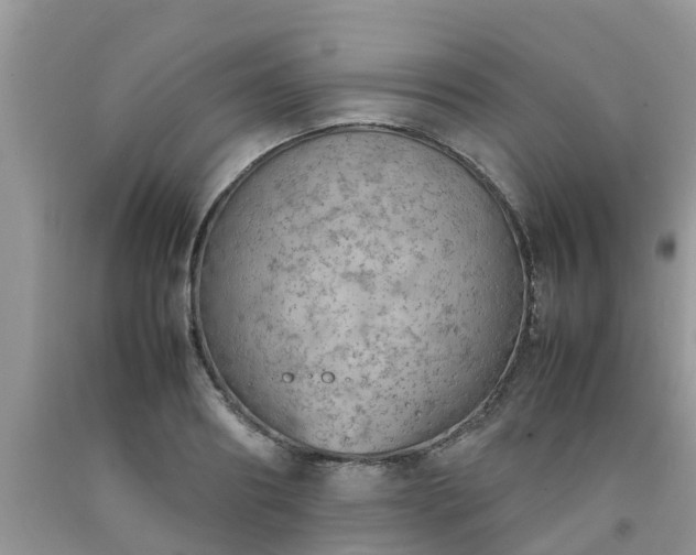 X0000092050890200709191118