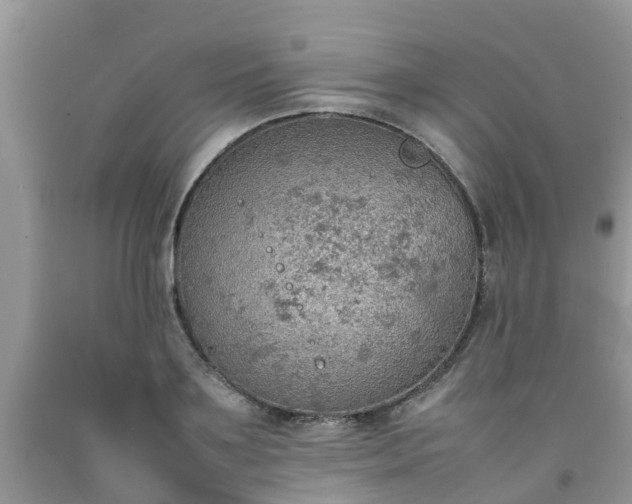 X0000092050891200709191118