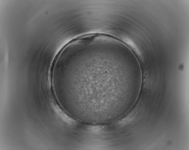 X0000092050892200709191118