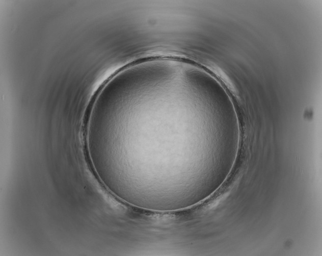 X0000092050893200709191118