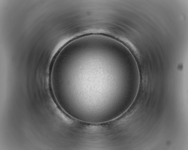 X0000092050894200709191118