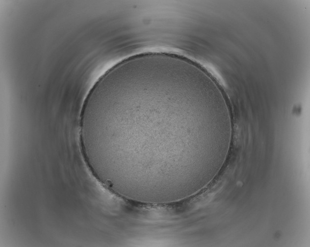 X0000092050895200709191118