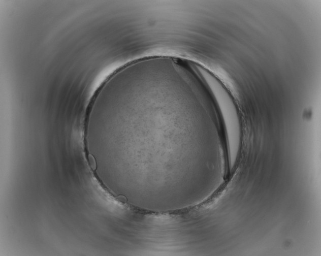 X0000092050896200709191118