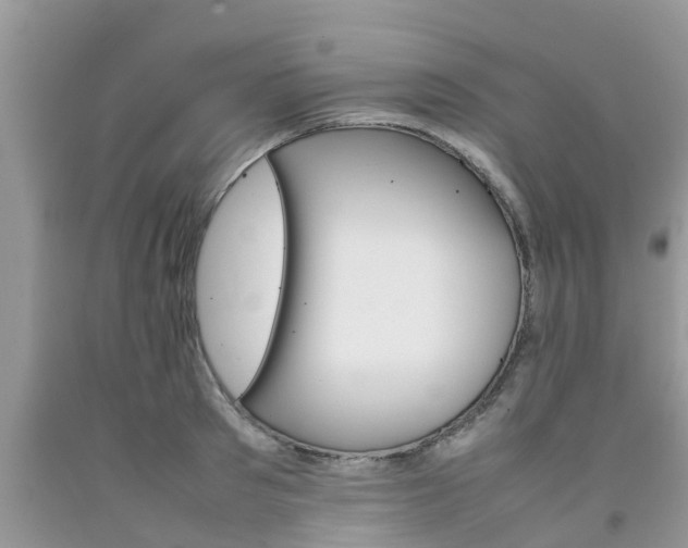 X0000092050897200709191118