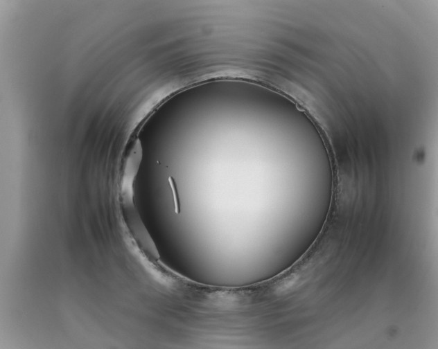 X0000092050898200709191118