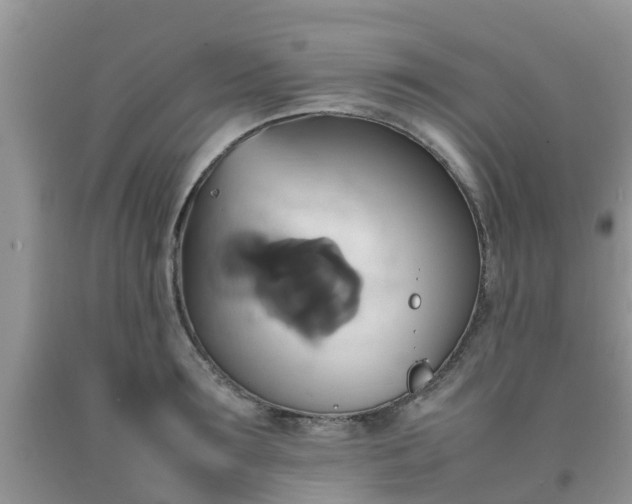 X0000092050899200709191118