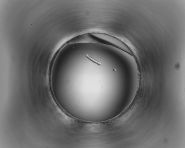 X0000092050902200709191118