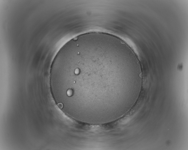 X0000092050903200709191118