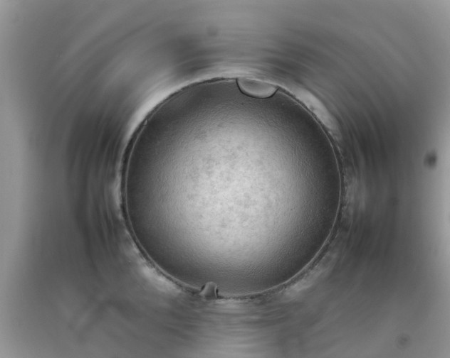 X0000092050904200709191118