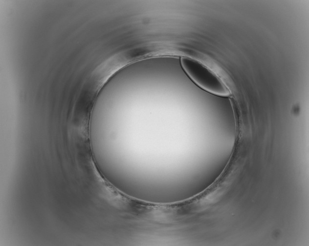 X0000092050905200709191118